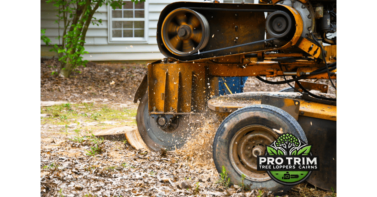 Everything You Need to Know About Stump Grinding