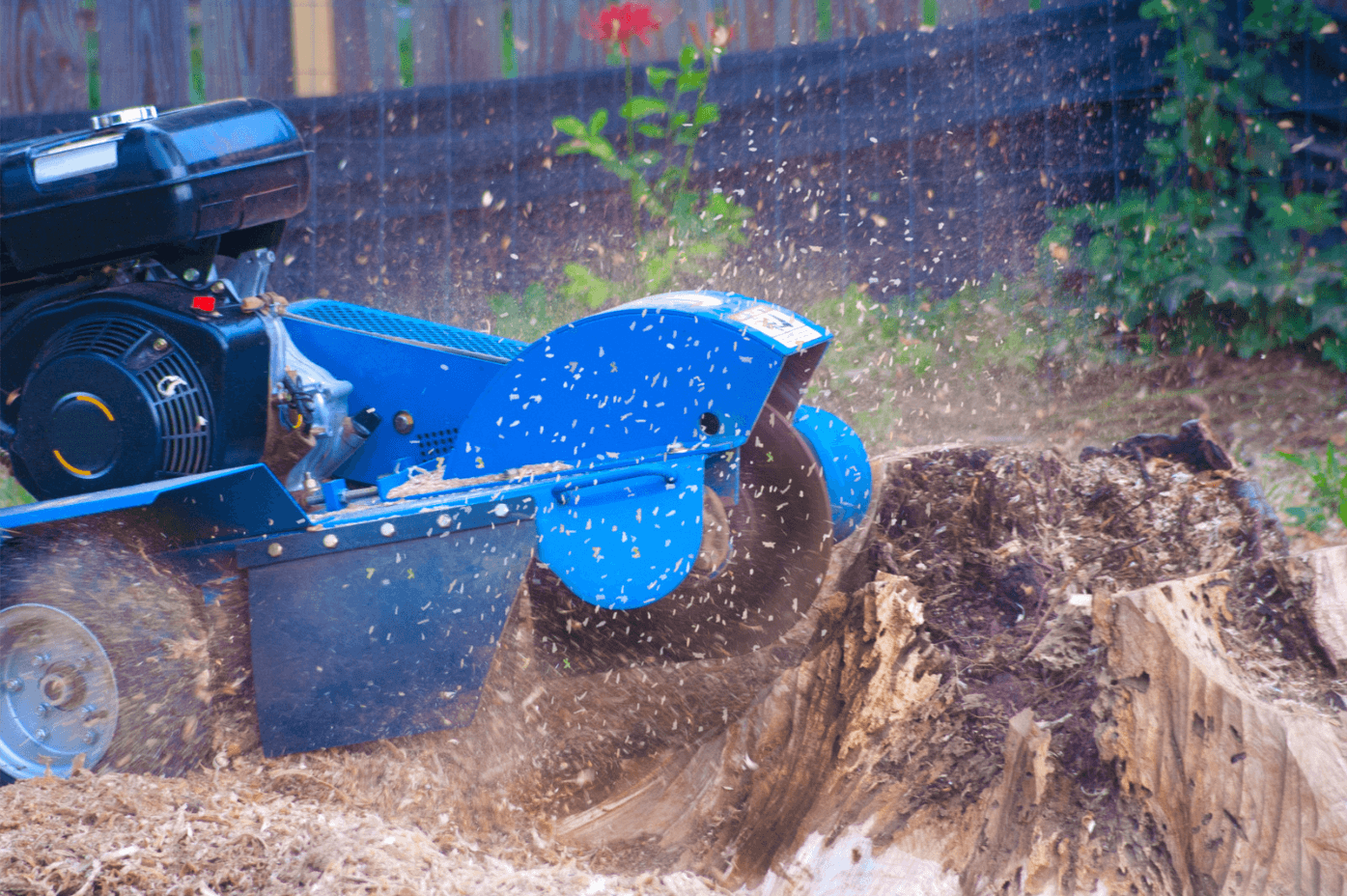 Stump Grinding Machine and Services in Cairns