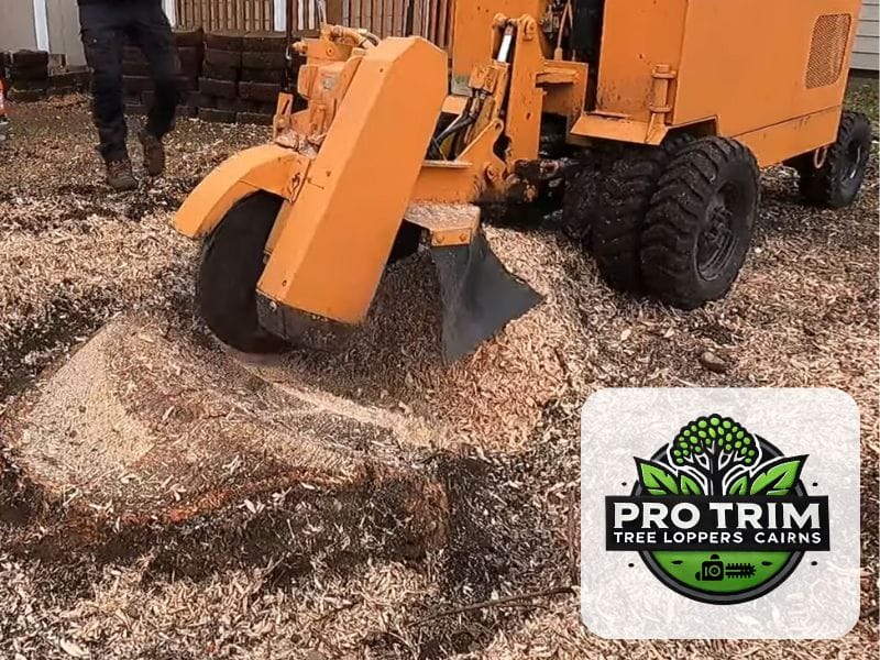 cairns stump grinding qld
