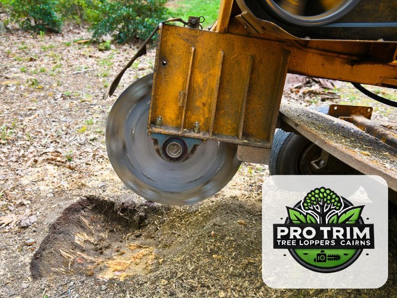 grinding qld cairns stump