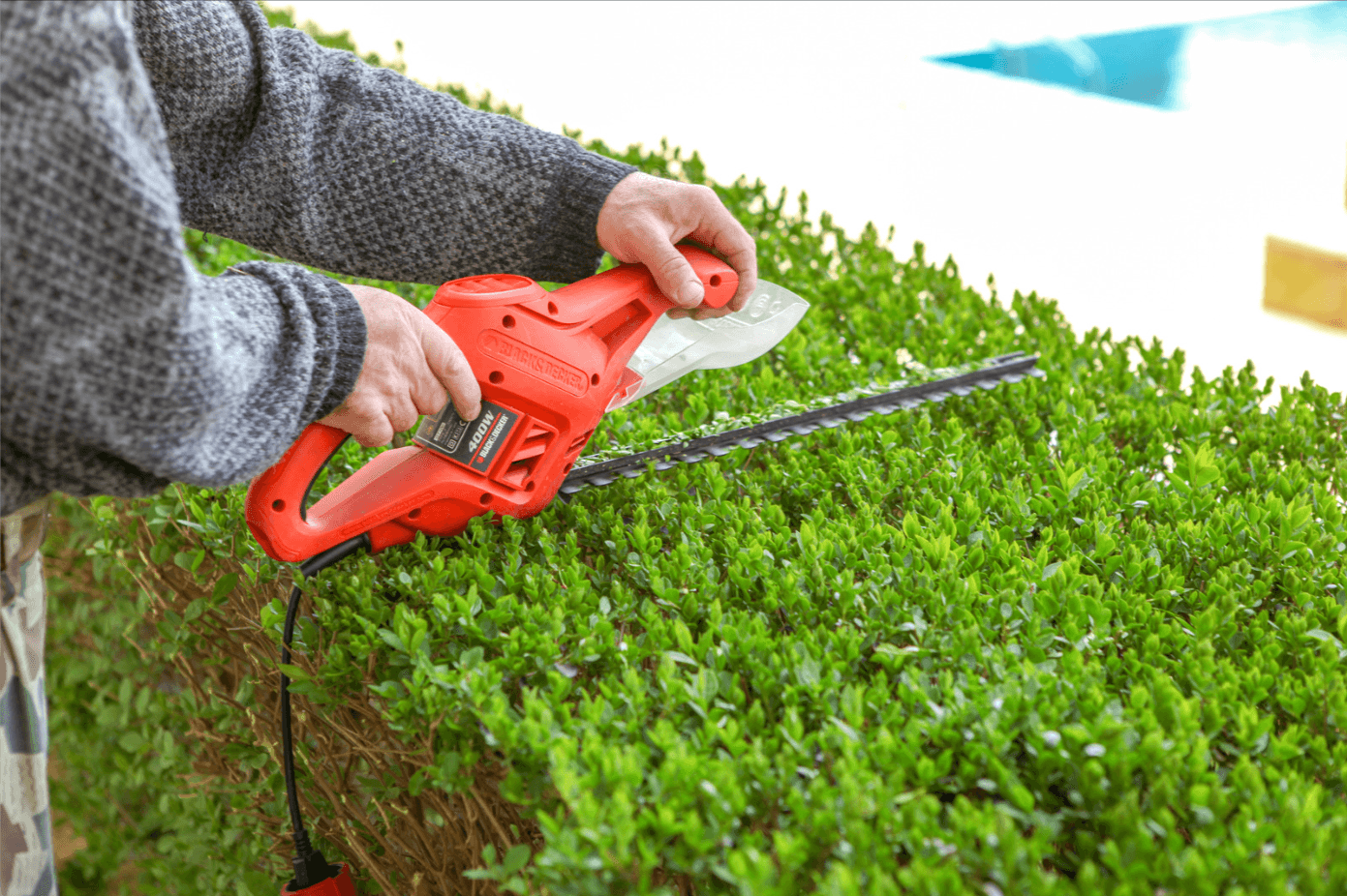 professional hedge trimming services