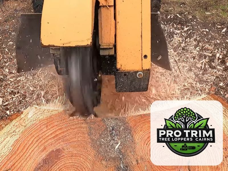 stump cairns grinding qld